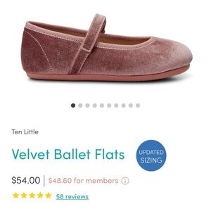 Ten Little Velvet Ballet Flats for Kids — Dusty Rose
